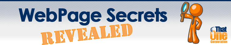 webpage secrets revealed covers many strategies learned from real world experience as a direct response webmaster.